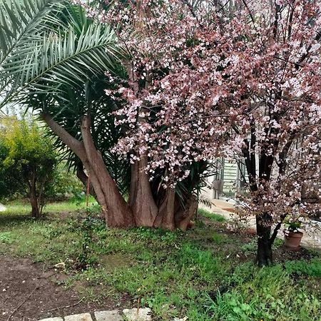 Apartament Giardino A Mare Bari Zewnętrze zdjęcie