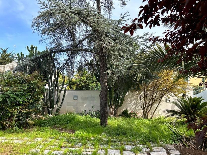 Apartament Giardino A Mare Bari Zewnętrze zdjęcie