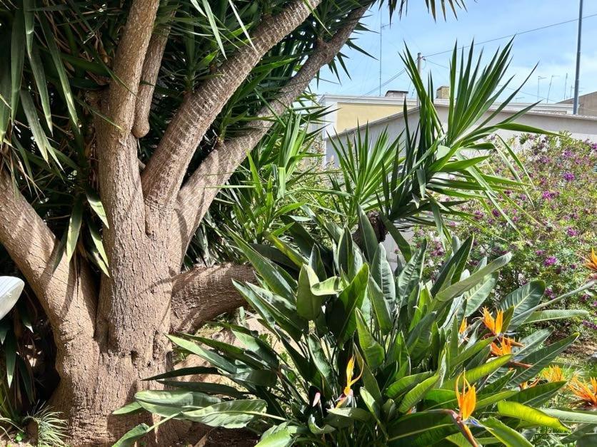 Apartament Giardino A Mare Bari Zewnętrze zdjęcie
