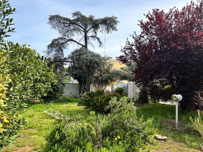Apartament Giardino A Mare Bari Zewnętrze zdjęcie