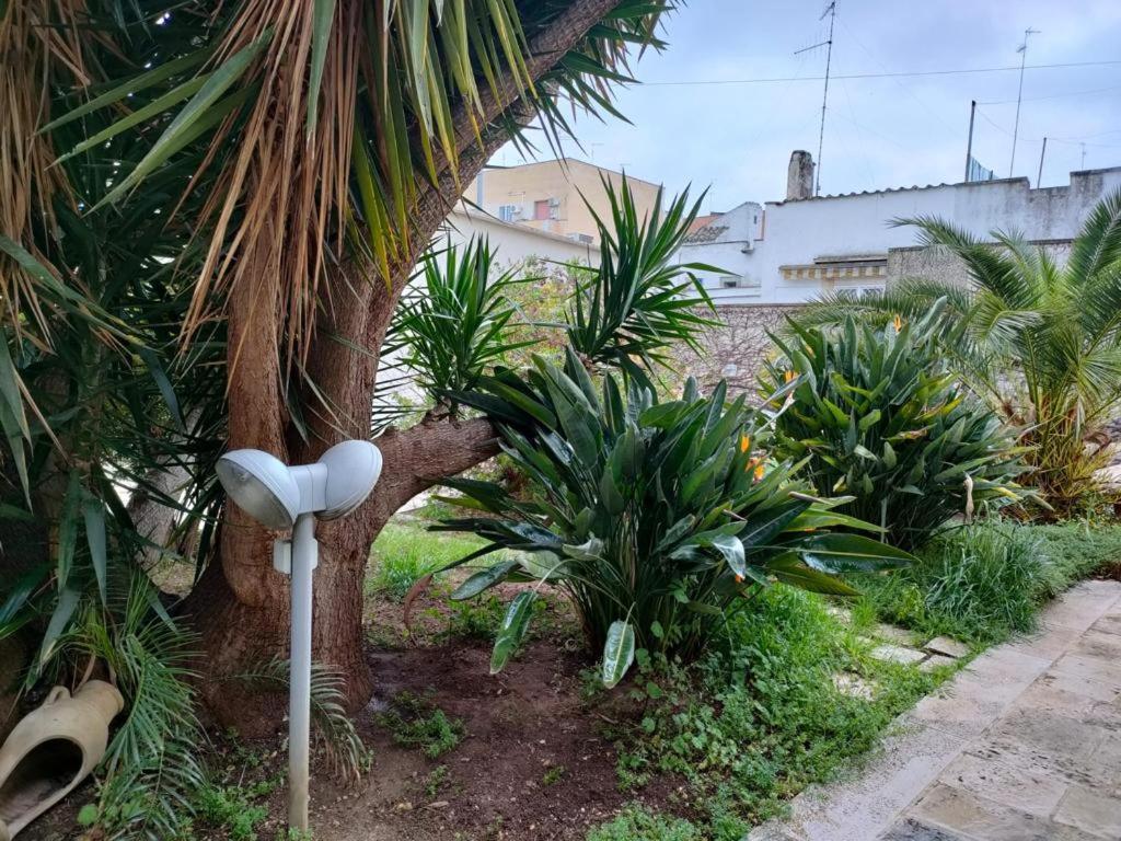 Apartament Giardino A Mare Bari Zewnętrze zdjęcie